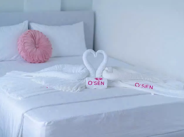 Combo 3 ngày 2 đêm Khách sạn Osen